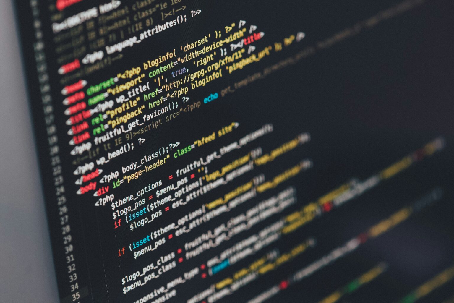 Top 5 Programming Languages to Learn in 2024